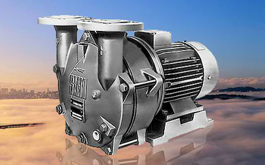 Hich liquid ring vacuum pump
